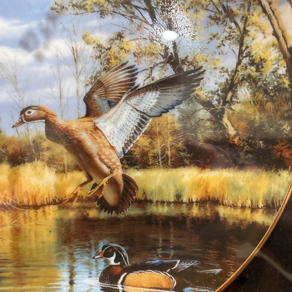 Limited Edition, Framed Collector Plate, by David Masss… Settling In - Picture 4 of 9